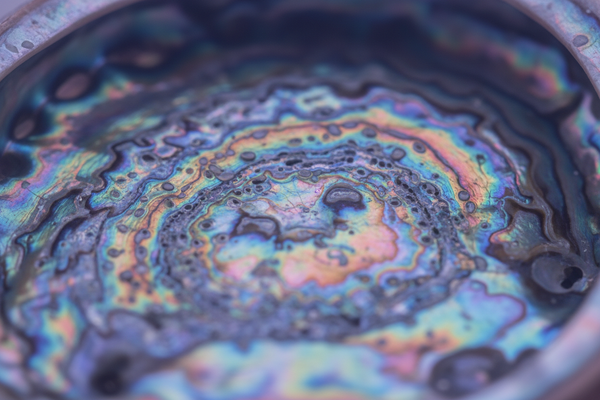 abolony shell close up but no shadows on the picture and give it a slight blue purple tint