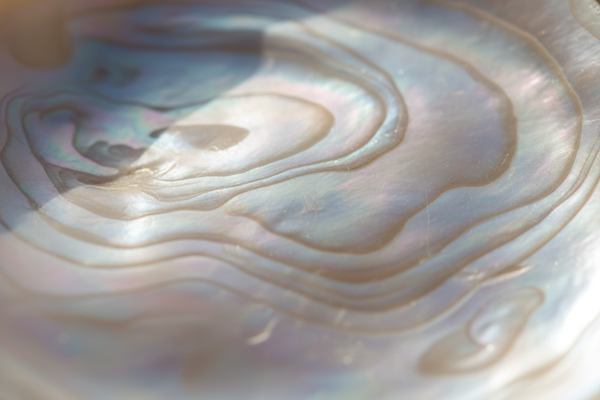 mother of pearl close up for handmade crafts store